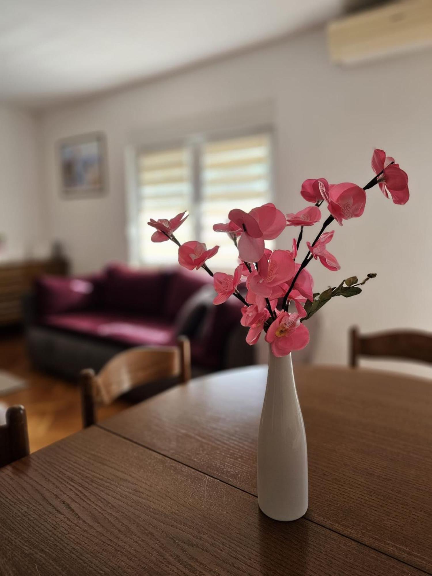 Apartment Vesna Podaca Zewnętrze zdjęcie